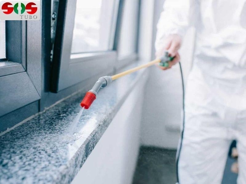 Dedetização no Verão: Entenda a Importância de Fazer em Condomínios, Residências e Empresas Nessa Época do Ano